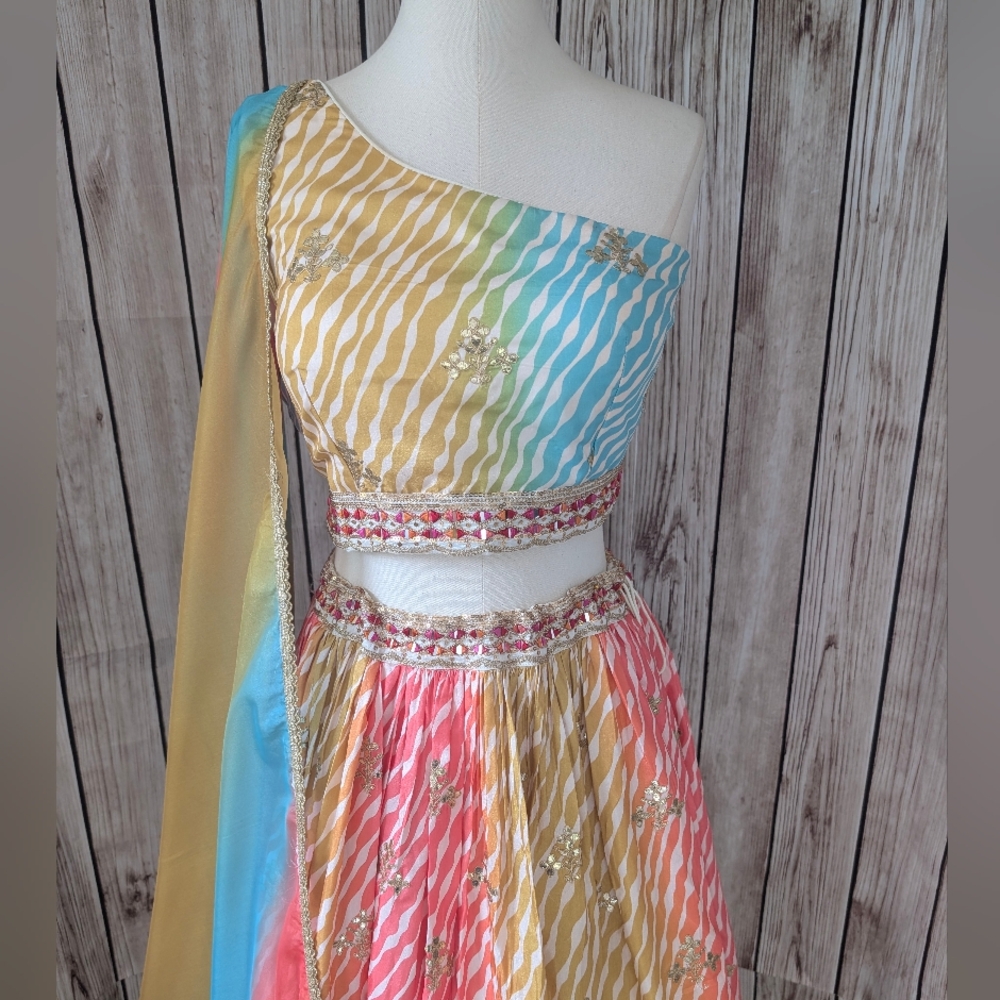 Beautiful colorful Lehenga Choli Set - Picture 3 of 17